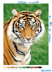 Wildlife Soft Throw 50" x 60" - Tiger